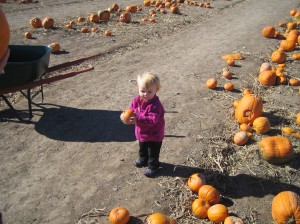 IMG_2663 IMG_2663