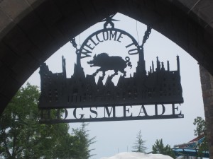 IMG_2054